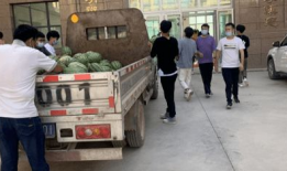 临县吃瓜事件最新爆料新闻,最新爆料揭露惊人内幕